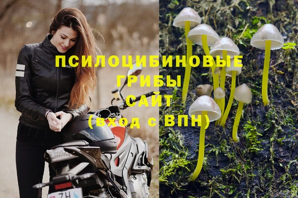 spice Армянск