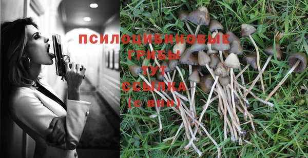 каннабис Арсеньев