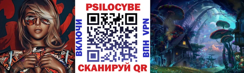 Купить где  Рославль  Галлюциногенные грибы прущие грибы 